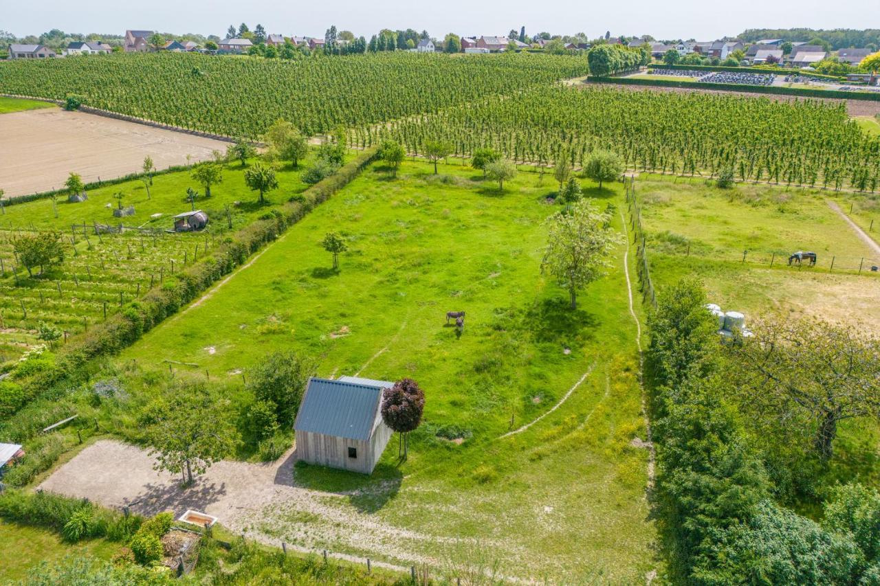 Unique Hideaway, Holiday House With Large Garden Kortenaken Exterior photo